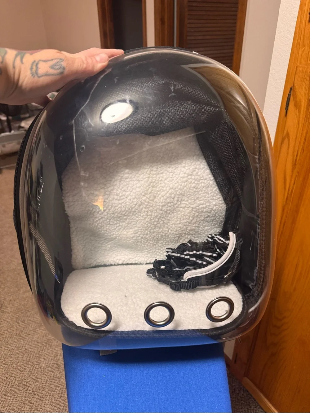 Transparent Bubble Small Pet Carrier and Harness